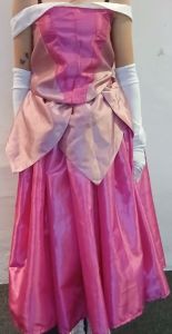 Kids Costumes to Hire - Sleeping Beauty - GIRL